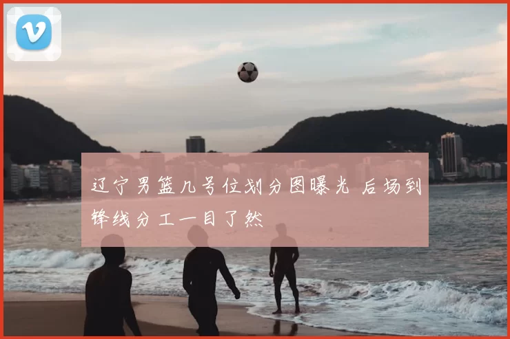 辽宁男篮几号位划分图曝光 后场到锋线分工一目了然