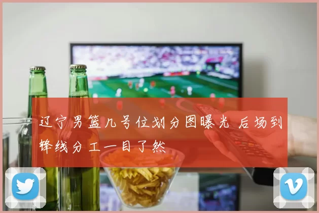 辽宁男篮几号位划分图曝光 后场到锋线分工一目了然