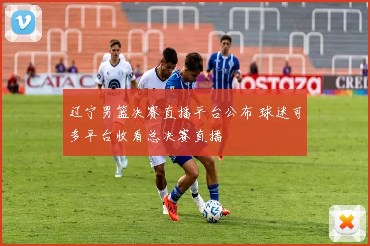辽宁男篮决赛直播平台公布 球迷可多平台收看总决赛直播